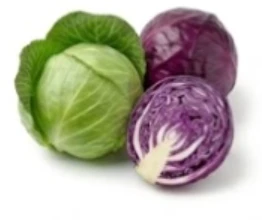 Cabbage