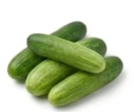 Cucumber