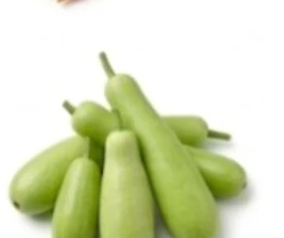 Bottle Gourd